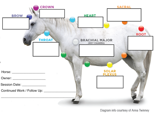 In-Person Chakra Scan and Balancing Session for Your Pet