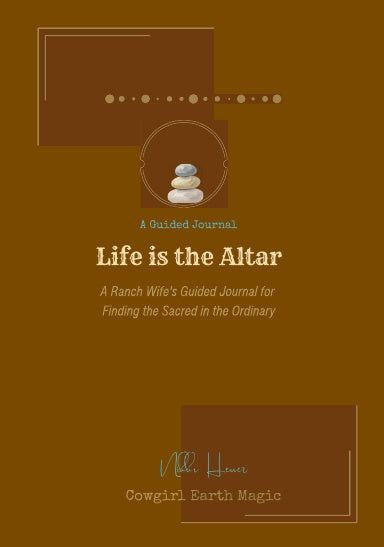 Book Cover Variant Thumbnail